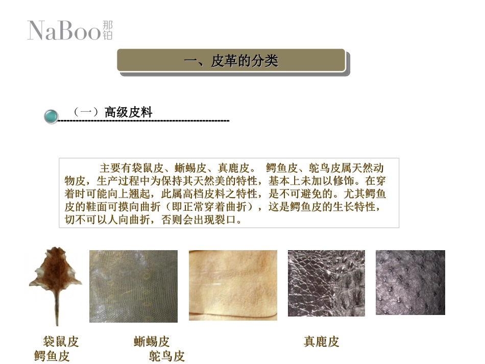 那铂品牌皮料知识培训教程_第3页