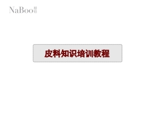 那铂品牌皮料知识培训教程