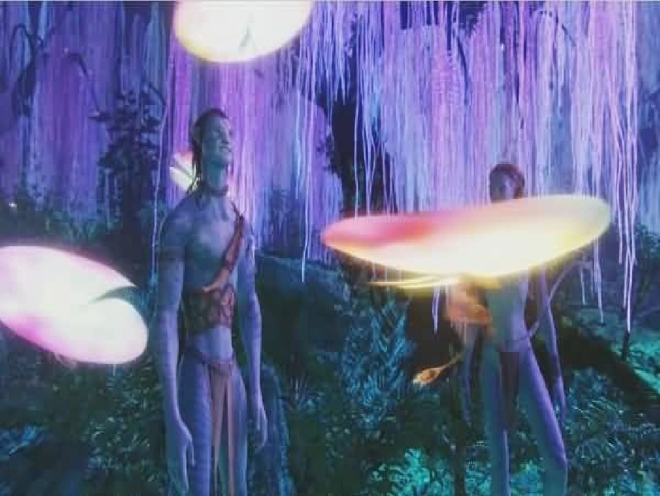 那树课件课件_第1页