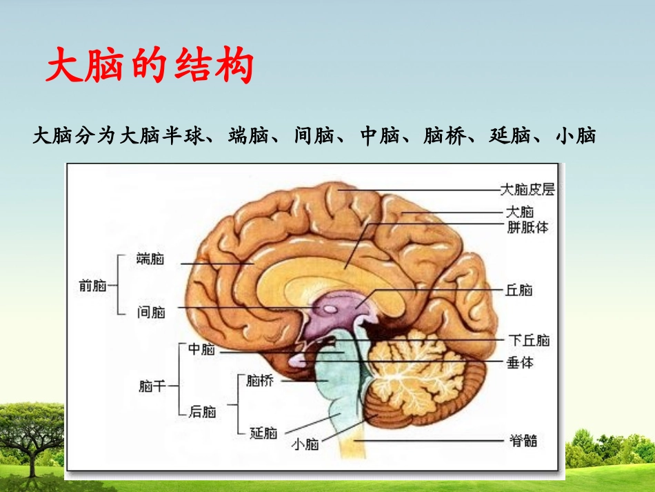 脑出血的护理_第3页