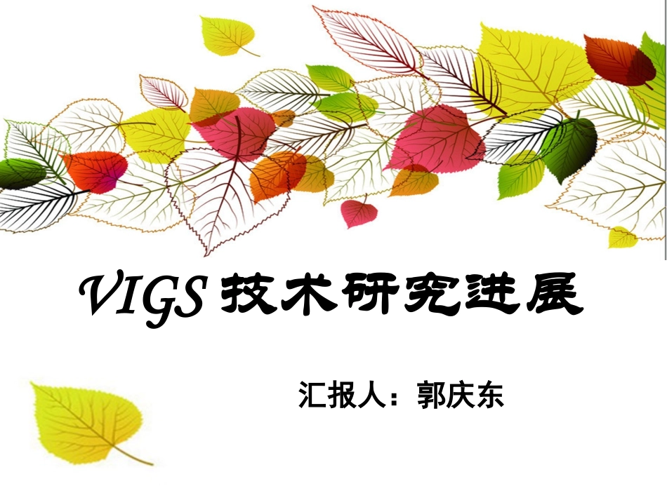 年终总结VIGS_第1页