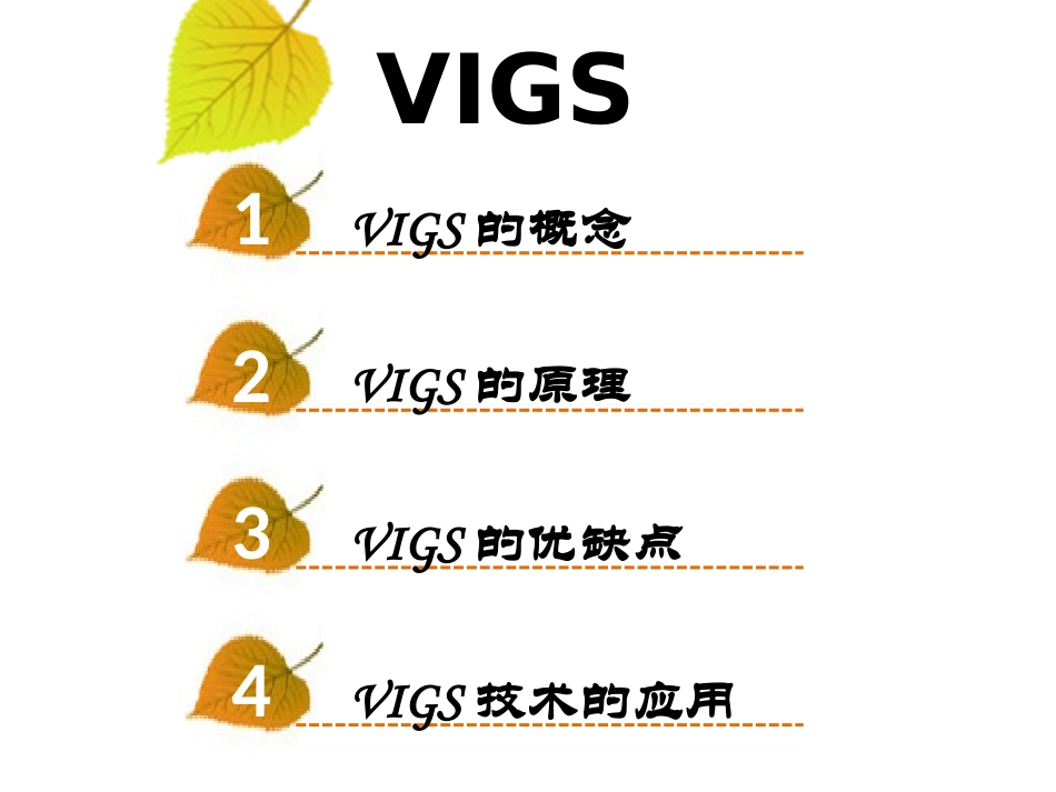 年终总结VIGS_第2页