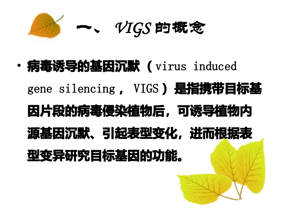 年终总结VIGS_第3页