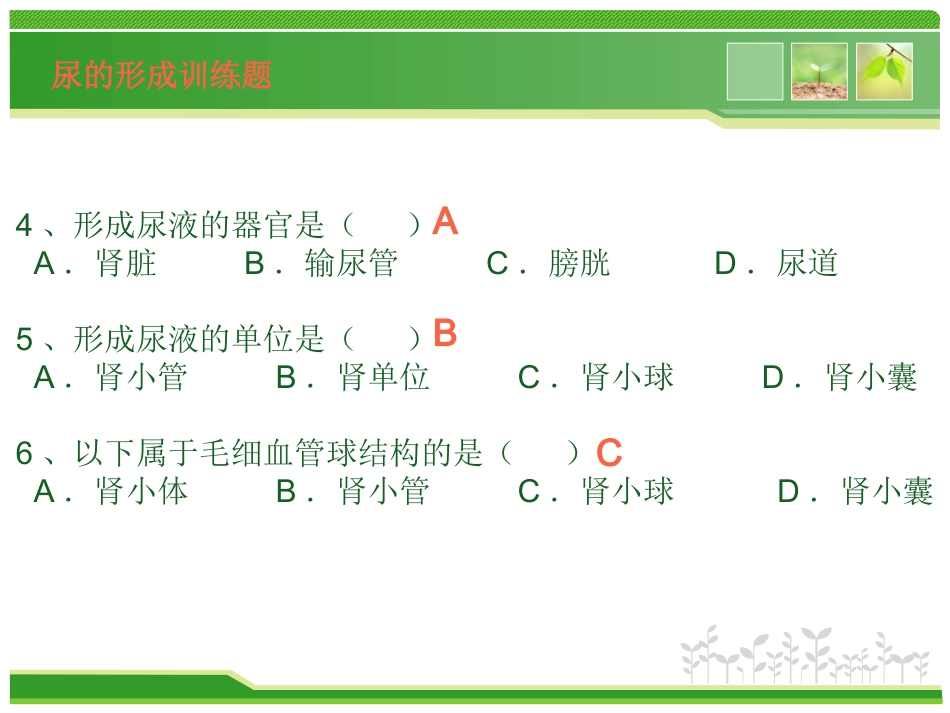 尿的形成练习题_第2页