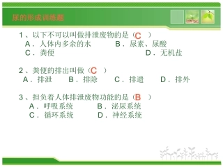 尿的形成练习题