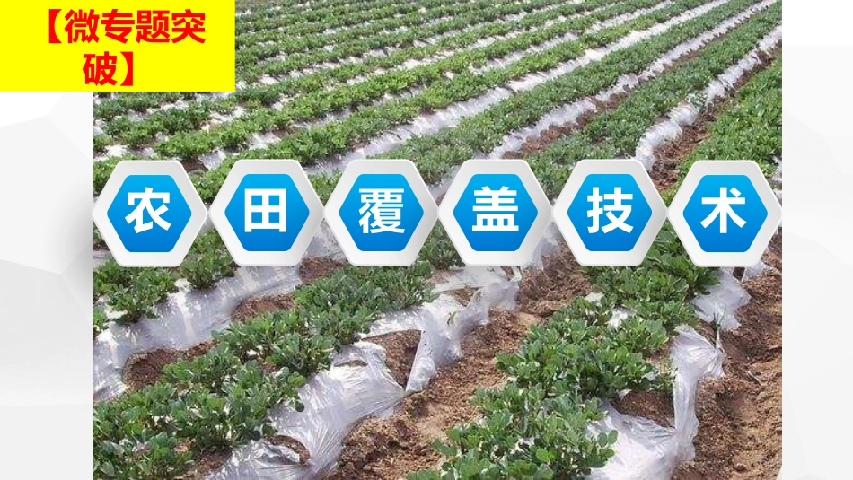 农田覆盖技术微专题_第1页