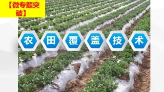农田覆盖技术微专题