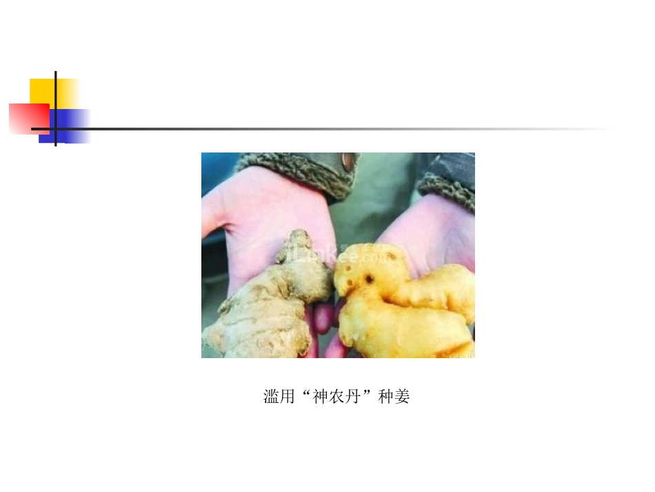 农药残留检测技术课件分析_第2页