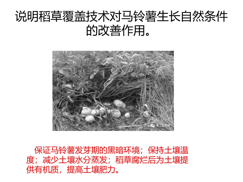 农业覆盖技术_第3页