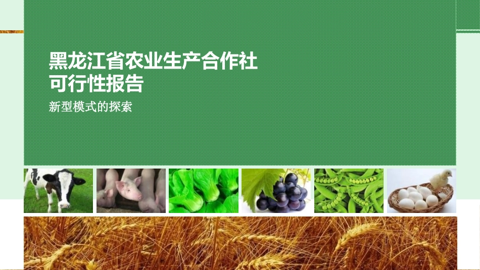 农业合作社项目可行性分析_第2页