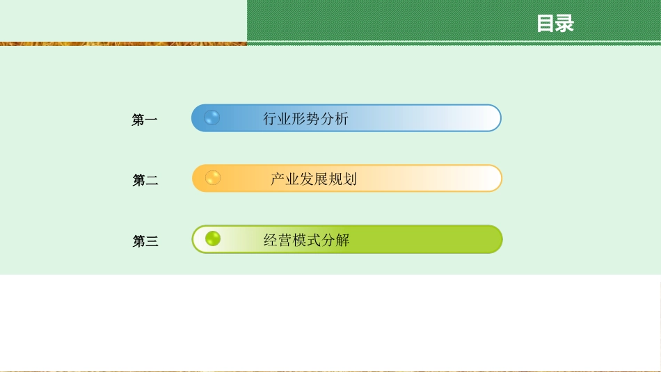 农业合作社项目可行性分析_第3页