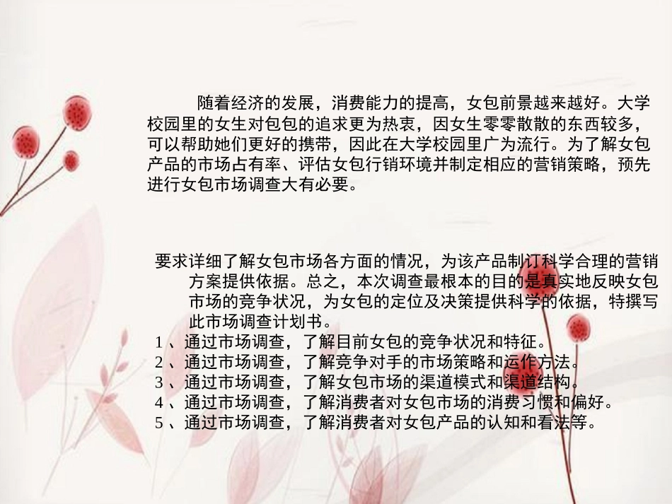 女包市场调查分析_第1页