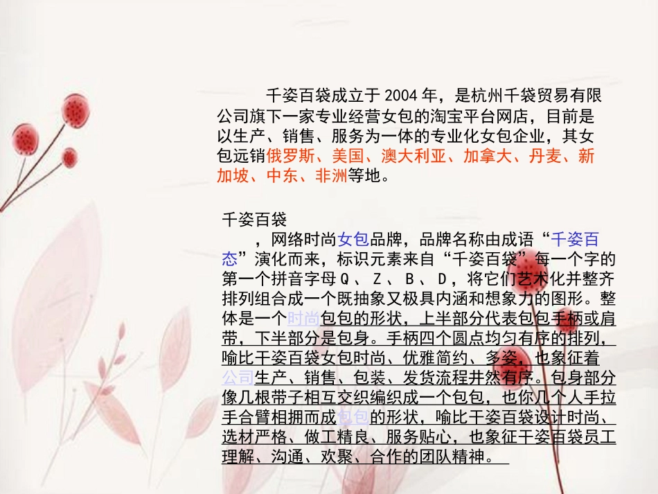 女包市场调查分析_第3页