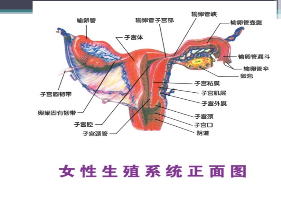 女性心理健康_第3页