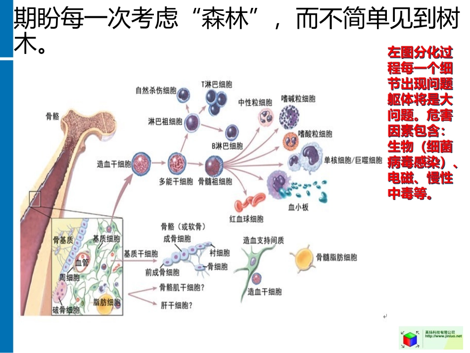偶尔高烧或低烧和未分化结缔组织病_第3页
