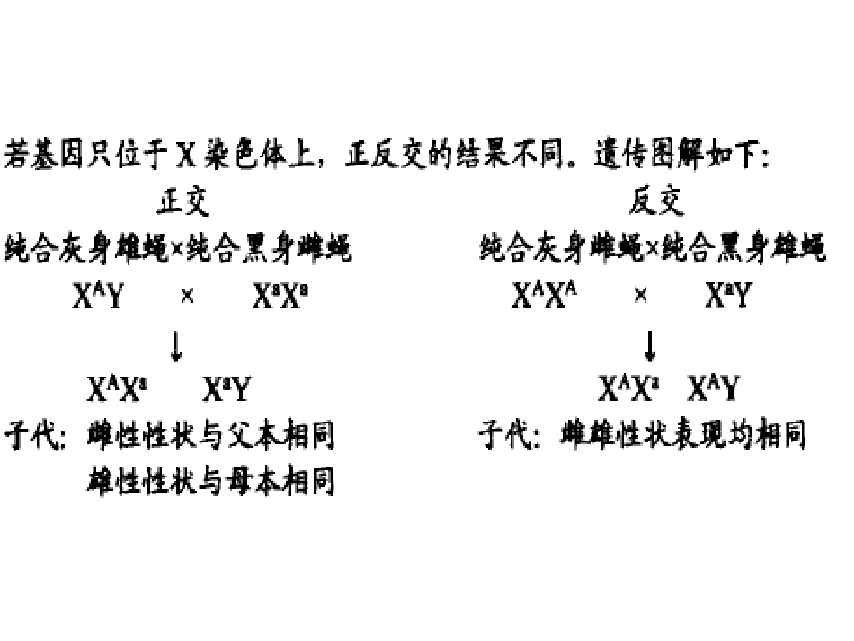 判断基因位置的方法_第3页