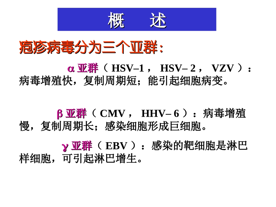 疱疹病毒概述_第1页