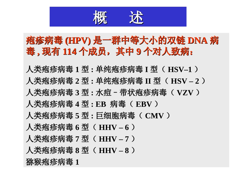 疱疹病毒概述_第2页