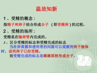 胚胎发育过程