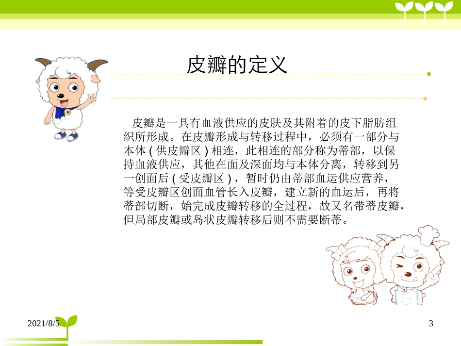 皮瓣移植VSD负压引流_第3页