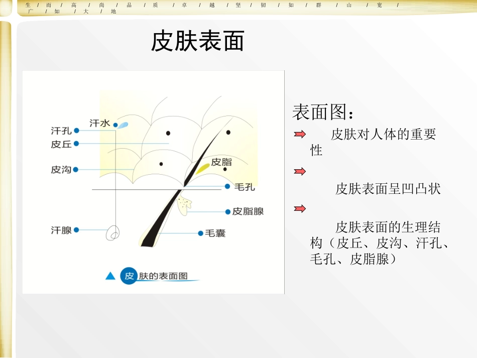 皮肤和细胞生理学_第2页