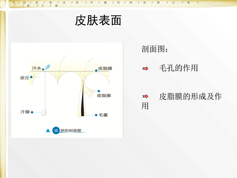 皮肤和细胞生理学_第3页