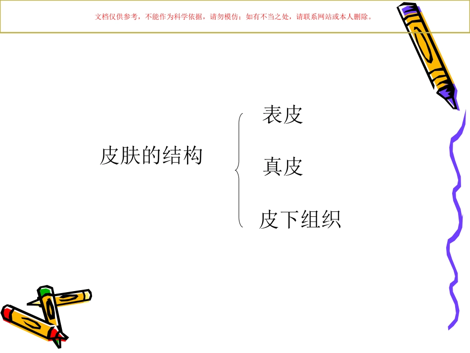 皮肤基础知识专业知识课件_第2页
