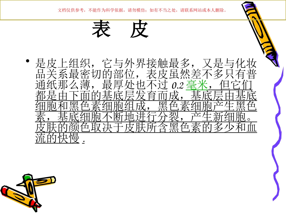 皮肤基础知识专业知识课件_第3页