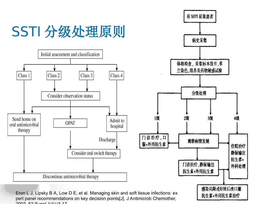 皮肤及软组织感染_第3页