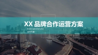 品牌电商运营合作方案