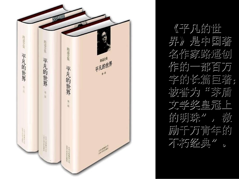 平凡的世界读后感_第2页