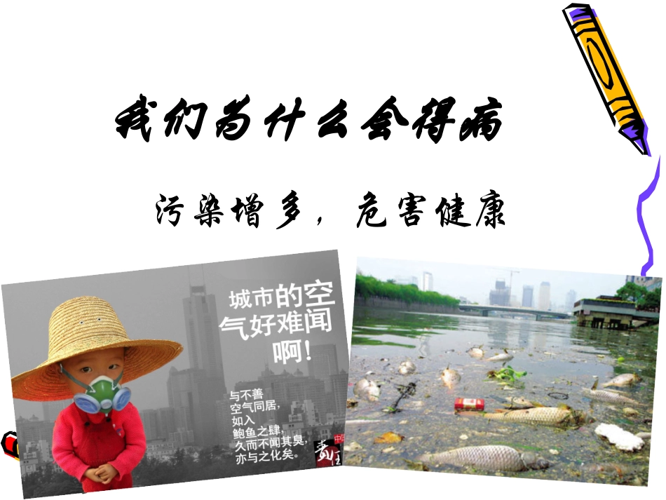 葡萄籽提取物原花青素作用_第3页