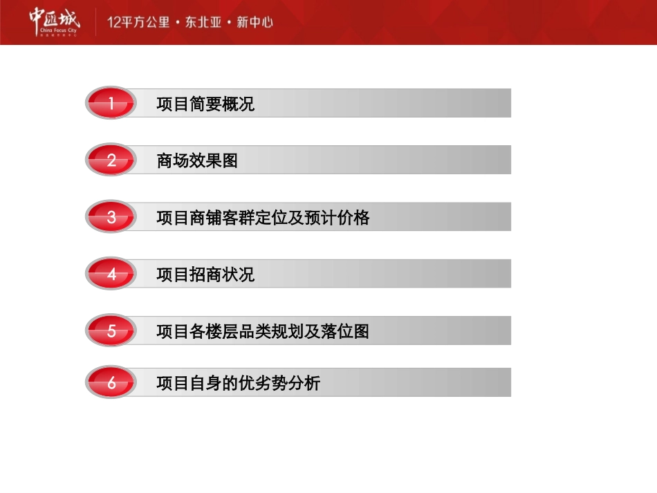 齐齐哈尔万达广场调研报告_第2页