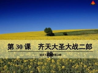 齐天大圣大战二郎神课件