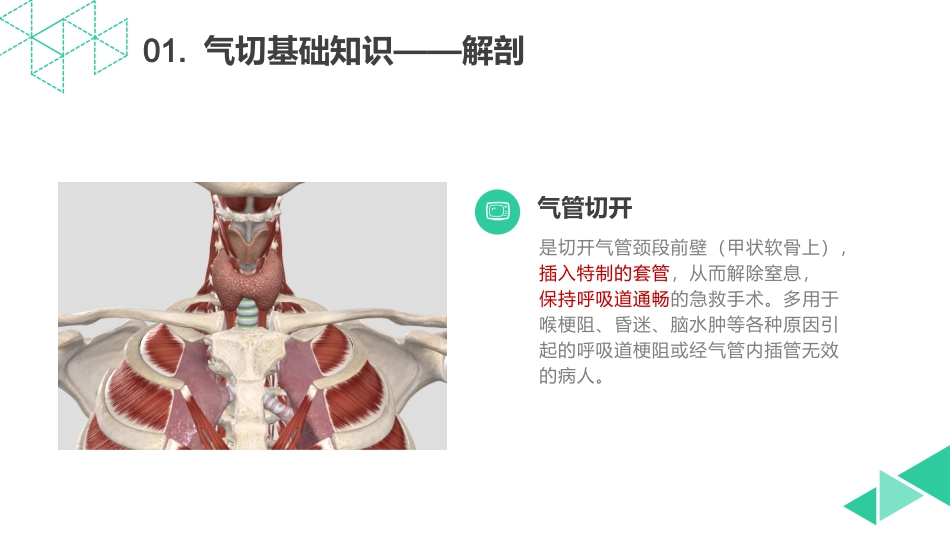 气管切开护理查房_第3页