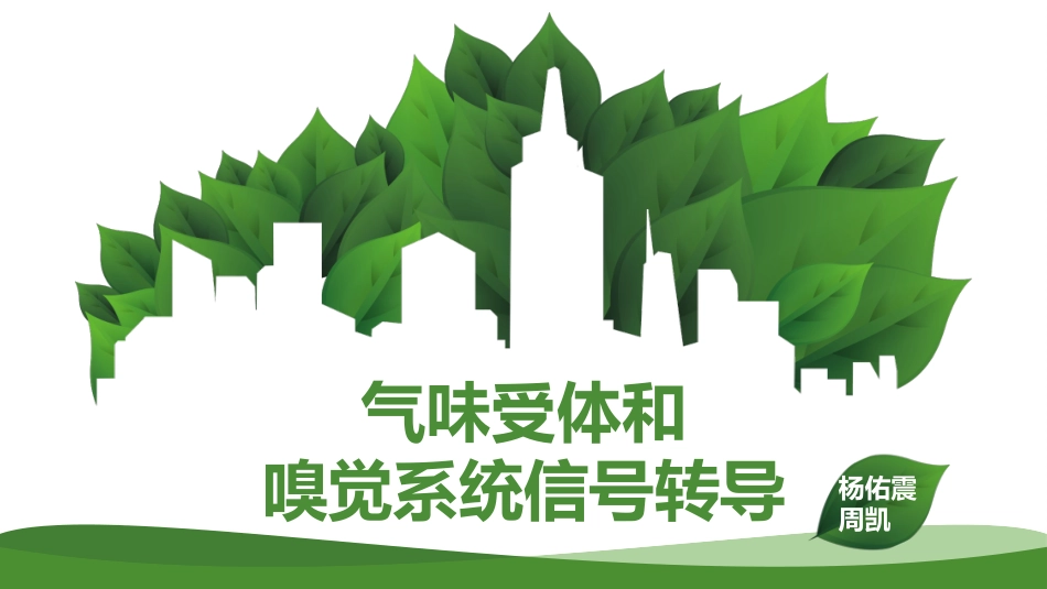 气味受体和嗅觉信号转导_第1页