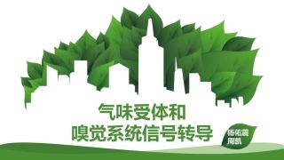 气味受体和嗅觉信号转导