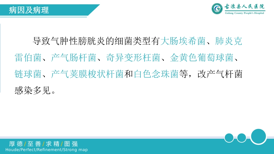 气肿性膀胱炎概述及影像学诊疗_第3页