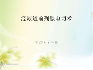 前列腺电切术TURP