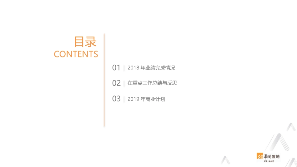 前期介入商业计划书_第2页