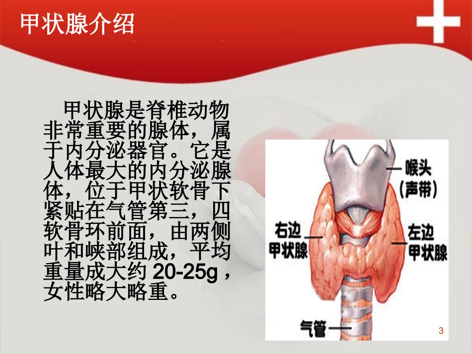 桥本氏甲状腺炎课件_第3页