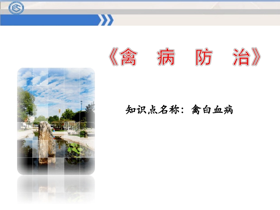 禽白血病课件_第1页