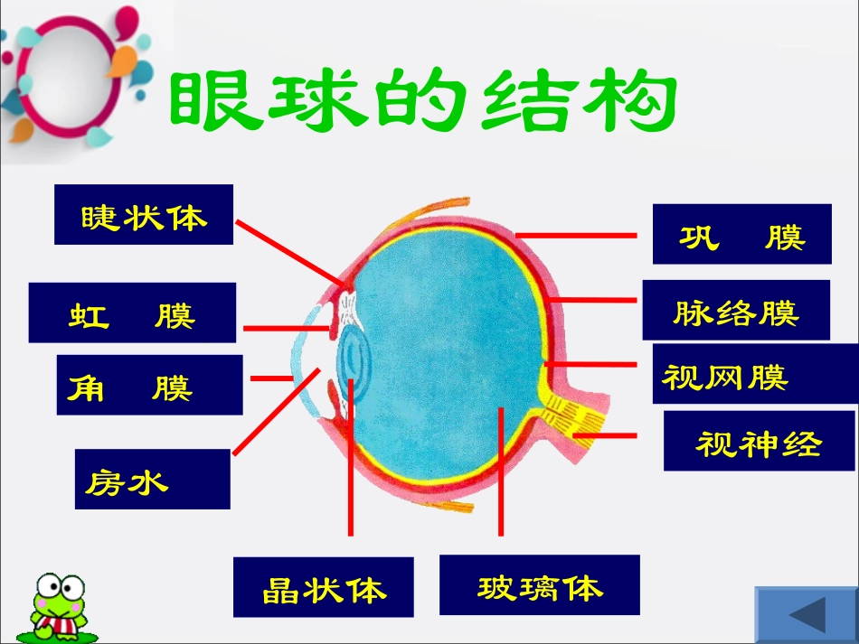青少年近视眼防治课件_第3页