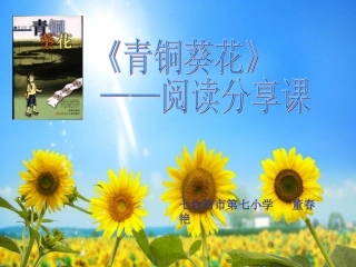 青铜葵花课件