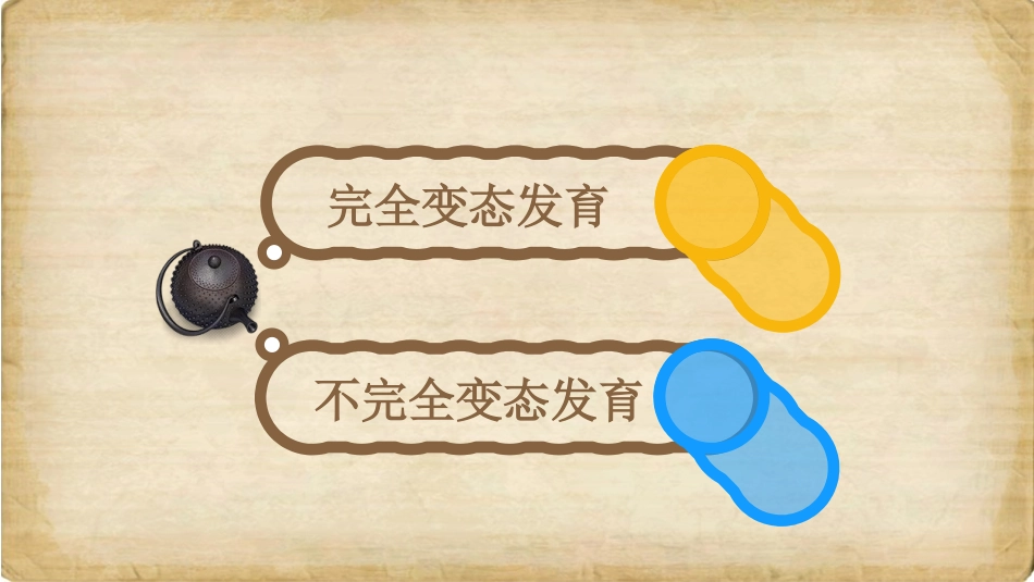 青蛙的生长过程分析_第3页