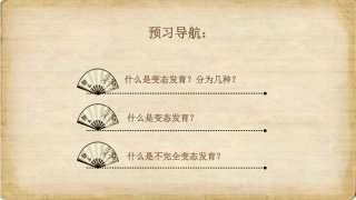 青蛙的生长过程分析