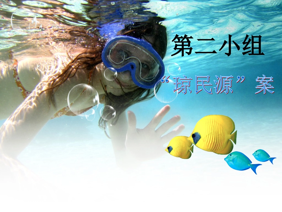 琼民源案例分析_第1页