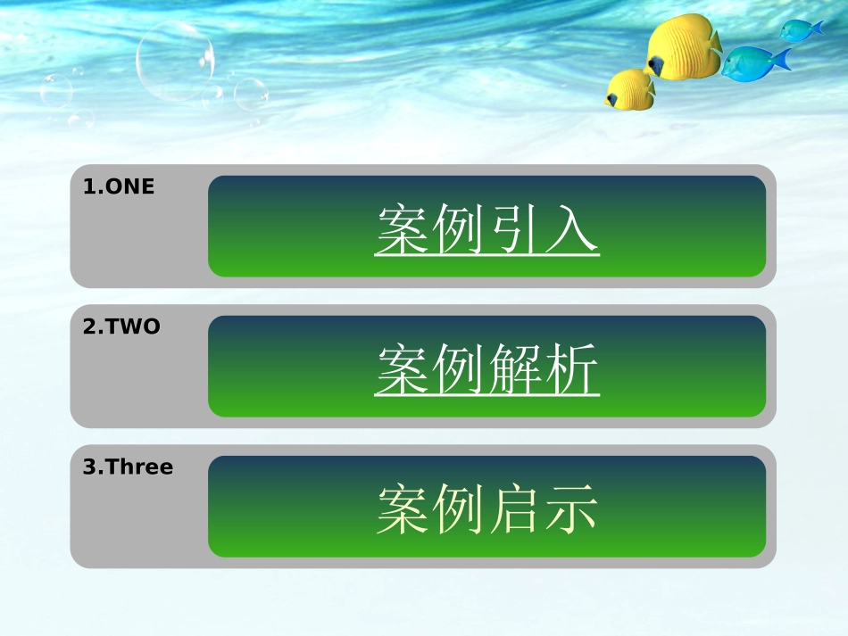 琼民源案例分析_第2页