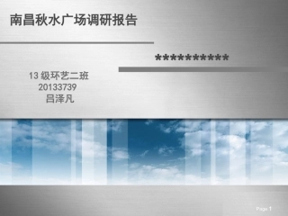 秋水广场调研报告