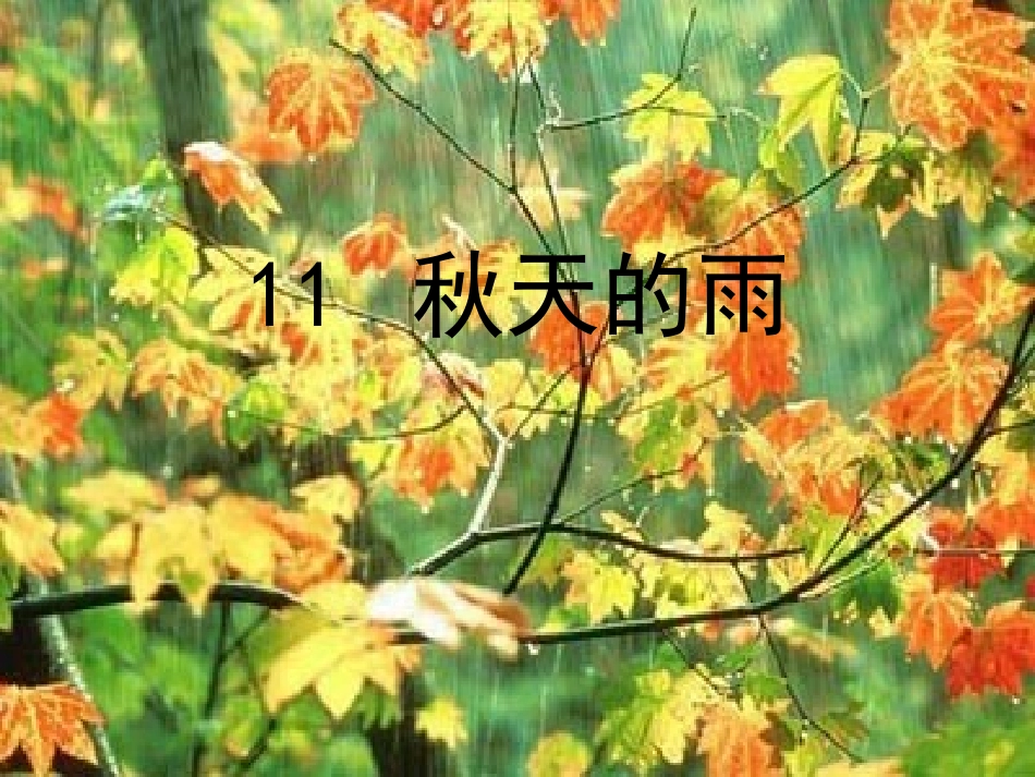 秋天的雨精品优秀课件_第1页